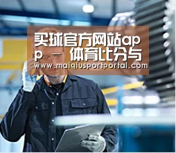 研发能力标题四