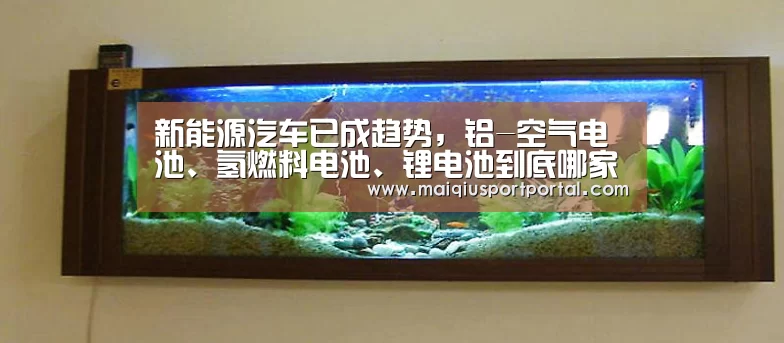 新能源汽车已成趋势,铝-空气电池、氢燃料电池、锂电池到底哪家强?‘买球app官网app’(图1) 买球app下载