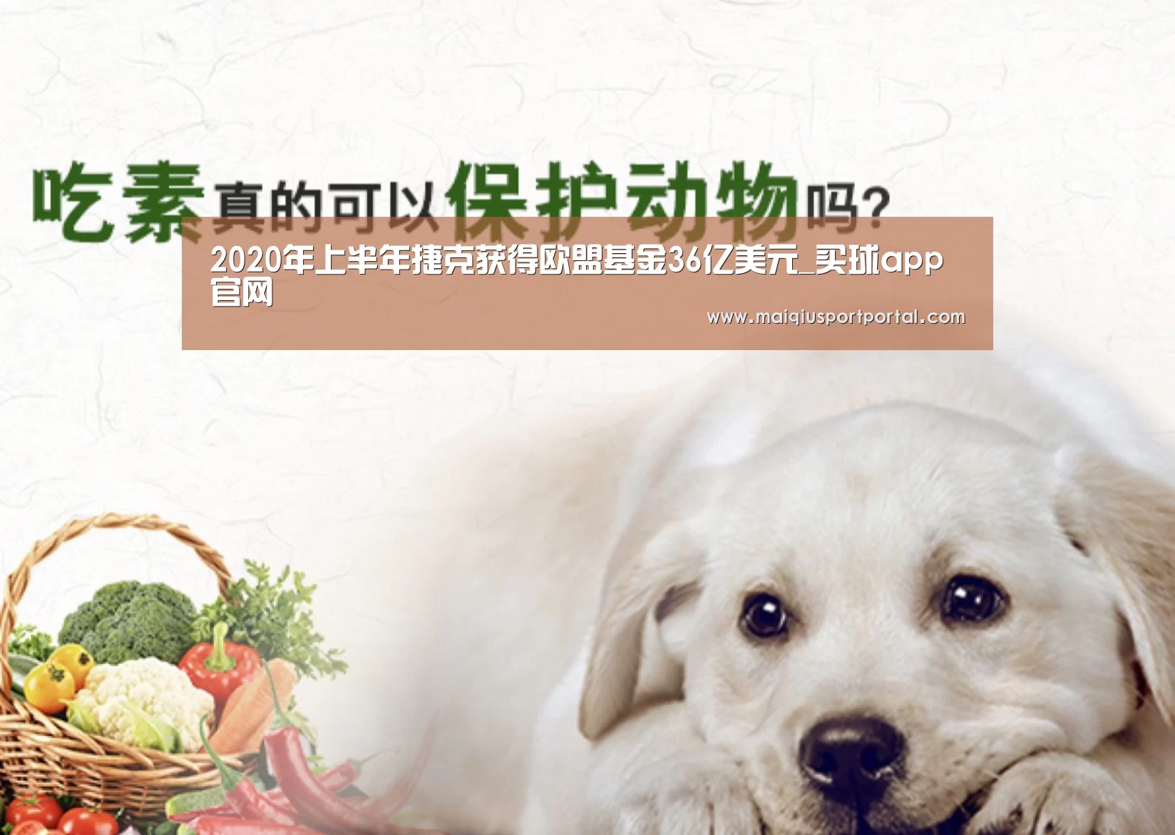 2020年上半年捷克获得欧盟基金36亿美元_买球app官网(图1) 买球app官网