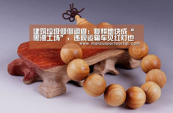 建筑垃圾倾倒调查:复耕地块成“黑渣土场”,违规运输车见红灯也闯-买球app官网app(图2) 买球app下载
