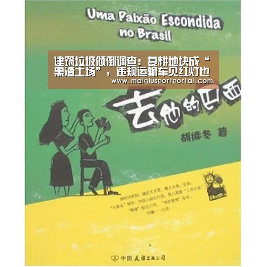 建筑垃圾倾倒调查:复耕地块成“黑渣土场”,违规运输车见红灯也闯-买球app官网app(图3) 买球app官网