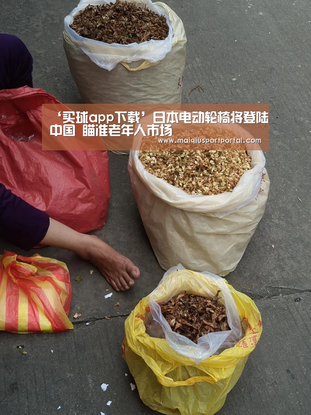 ‘买球app下载’日本电动轮椅将登陆中国 瞄准老年人市场(图2) 买球app官网