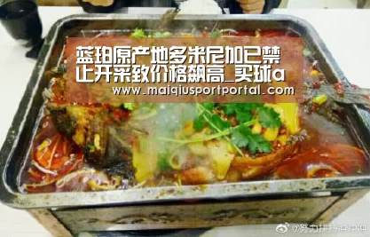蓝珀原产地多米尼加已禁止开采致价格飙高_买球app官网(图1) 买球app下载