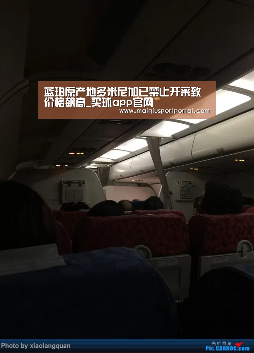 蓝珀原产地多米尼加已禁止开采致价格飙高_买球app官网(图4) 买球app官网app