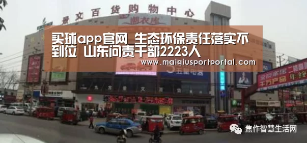 买球app官网_生态环保责任落实不到位 山东问责干部2223人(图3) 买球app官网app
