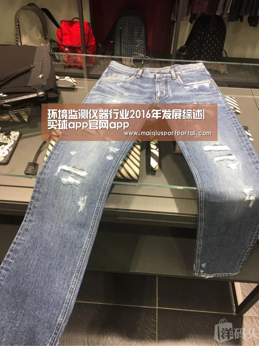 环境监测仪器行业2016年发展综述|买球app官网app(图2) 买球app官网app