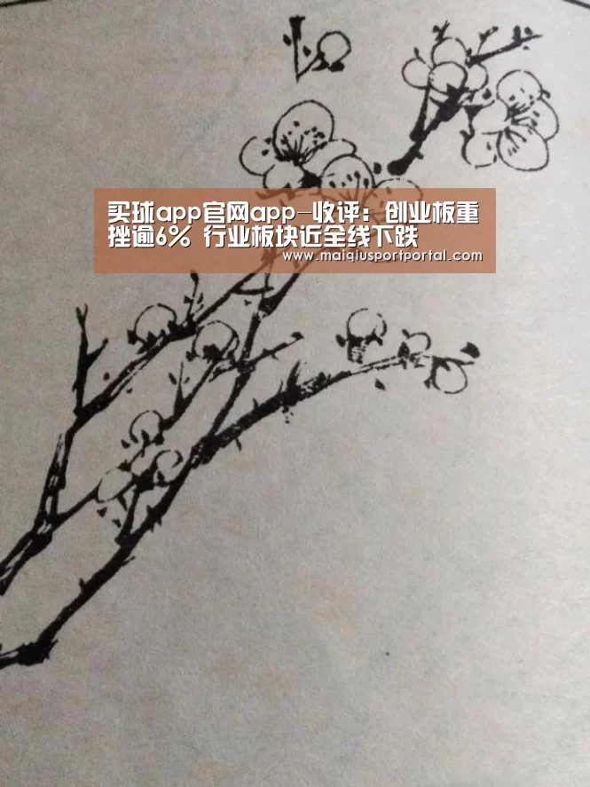 买球app官网app-收评:创业板重挫逾6% 行业板块近全线下跌(图1) 买球app官网